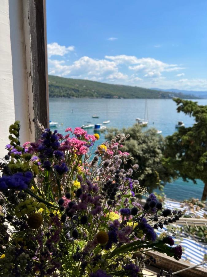 Apartment Mirna - What You See Is What You Get Opatija Exterior foto