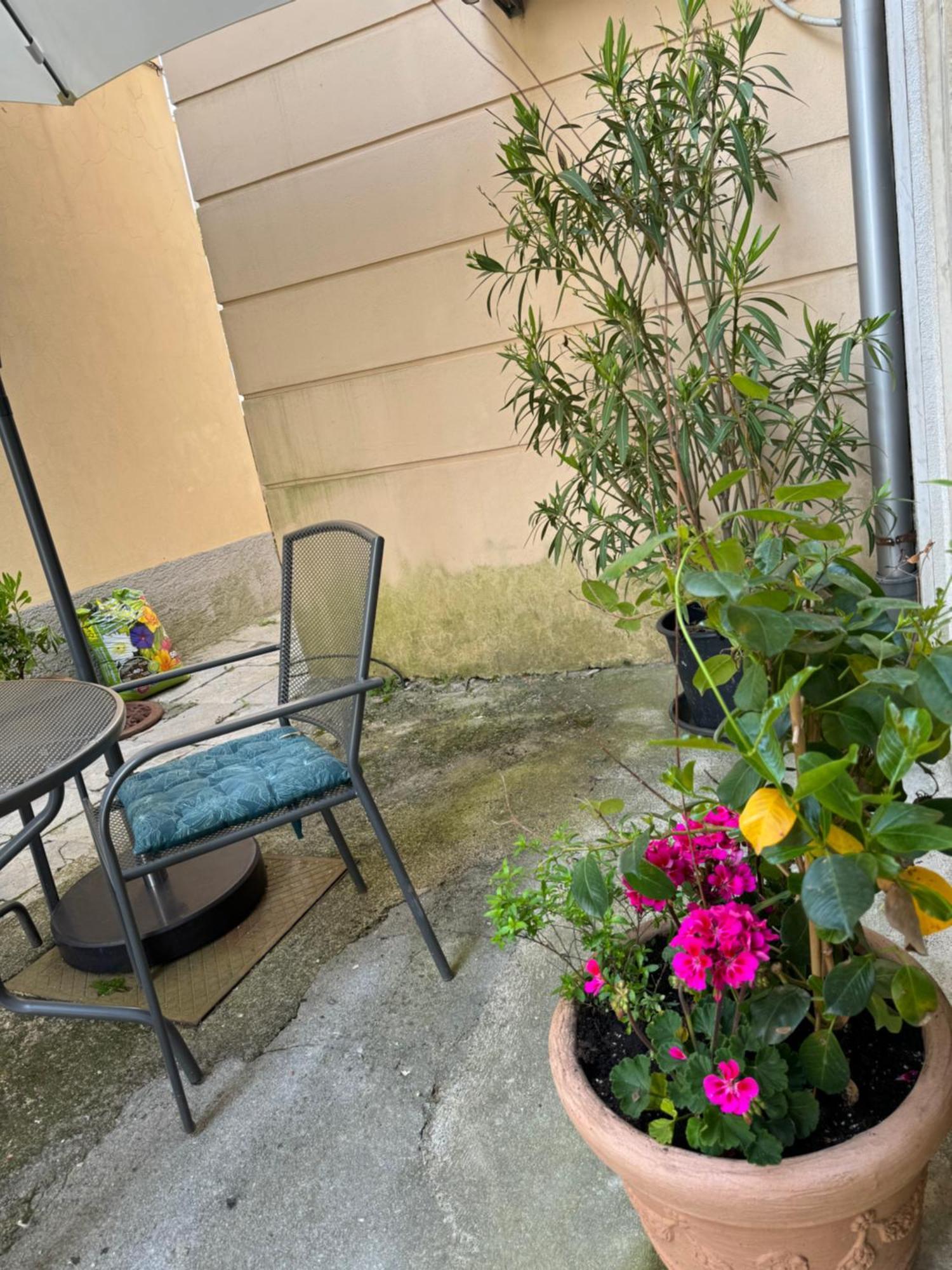 Apartment Mirna - What You See Is What You Get Opatija Exterior foto