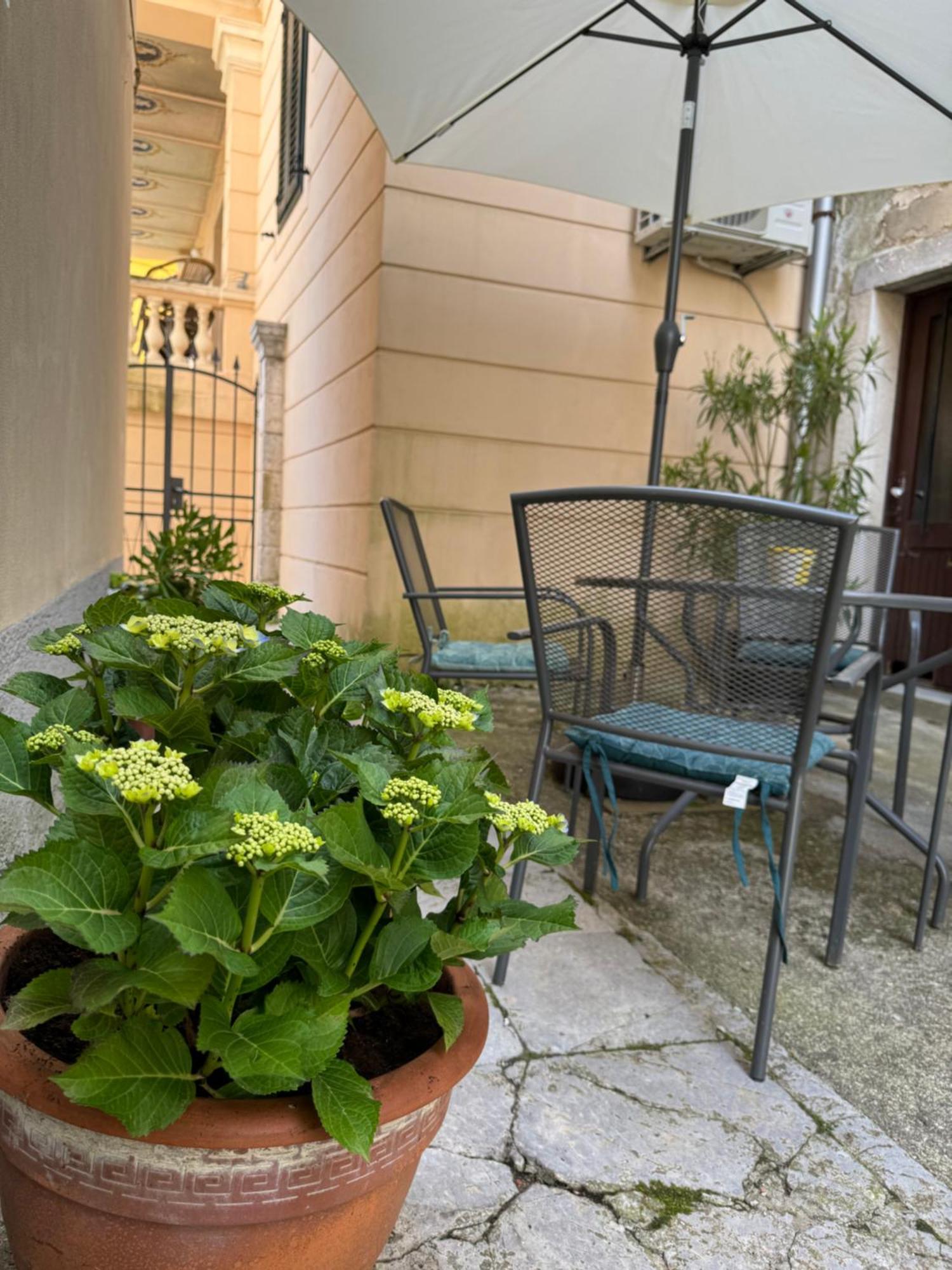Apartment Mirna - What You See Is What You Get Opatija Exterior foto
