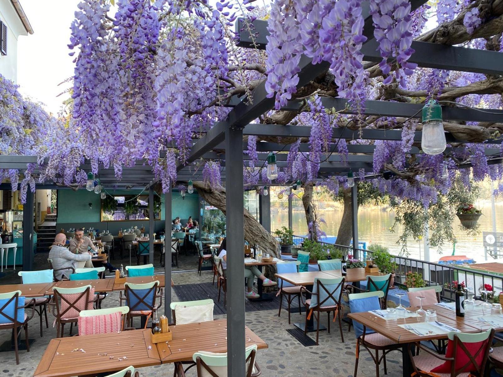 Apartment Mirna - What You See Is What You Get Opatija Exterior foto